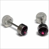 Aramat jewels ® - Zweerknopjes geboortesteen oorbellen februari paars chirurgisch staal 5mm