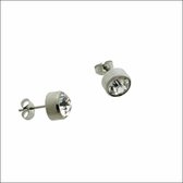 Aramat jewels ® - Oorbellen transparant kristal chirurgisch staal zilverkleurig 10mm