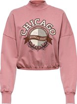 Jacqueline de Yong Trui Jdychris L/s Print Sweat Jrs 15245601 Mesa Rose Dames Maat - XL