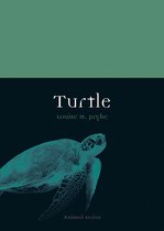 Animal - Turtle