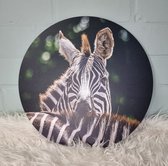 Muurcirkel Zebra 40 cm