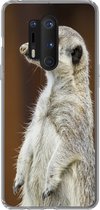 Geschikt voor OnePlus 8 Pro hoesje - Stokstaartje - Dier - Wild - Siliconen Telefoonhoesje