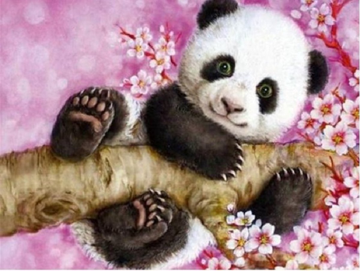 Diamond Painting Panda op Tak - 15x20cm - Ronde Diamantjes - Complete Set - Inclusief Tools - Stipco