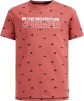 WE Fashion Jongens T-shirt met dessin