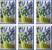 MGPcards - 6x double carte de voeux avec enveloppe - Blanco - Fleurs - 11,5 x 17 cm