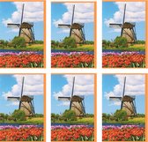 MGPcards - 6x dubbele wenskaart met envelop - Blanco - Bloemen - 11,5 x 17 cm