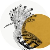 Muursticker Hoopoe by Meyers Konversations-Lexikon 1897 Gold -Ø 130 cm