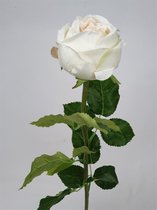 2x White Rose 72cm