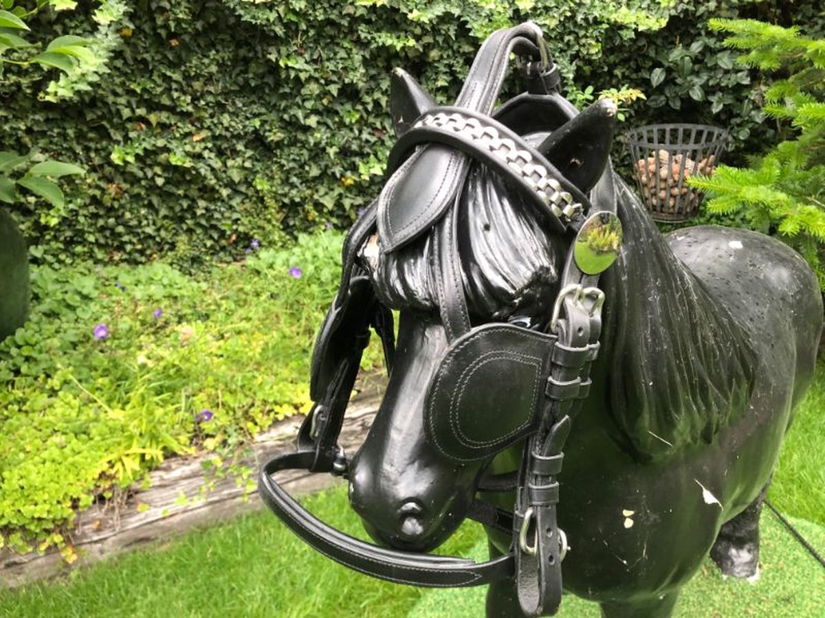 Paardenhoofdstel - Mini shetlander