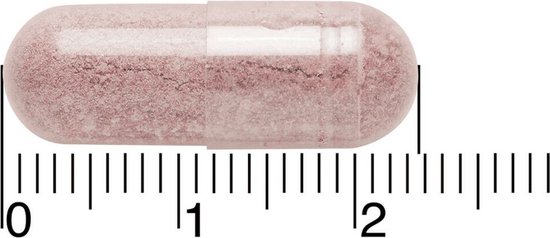 BlaseCare Cranberry Extract & Vitamine C - Supplement - 50 tabletten