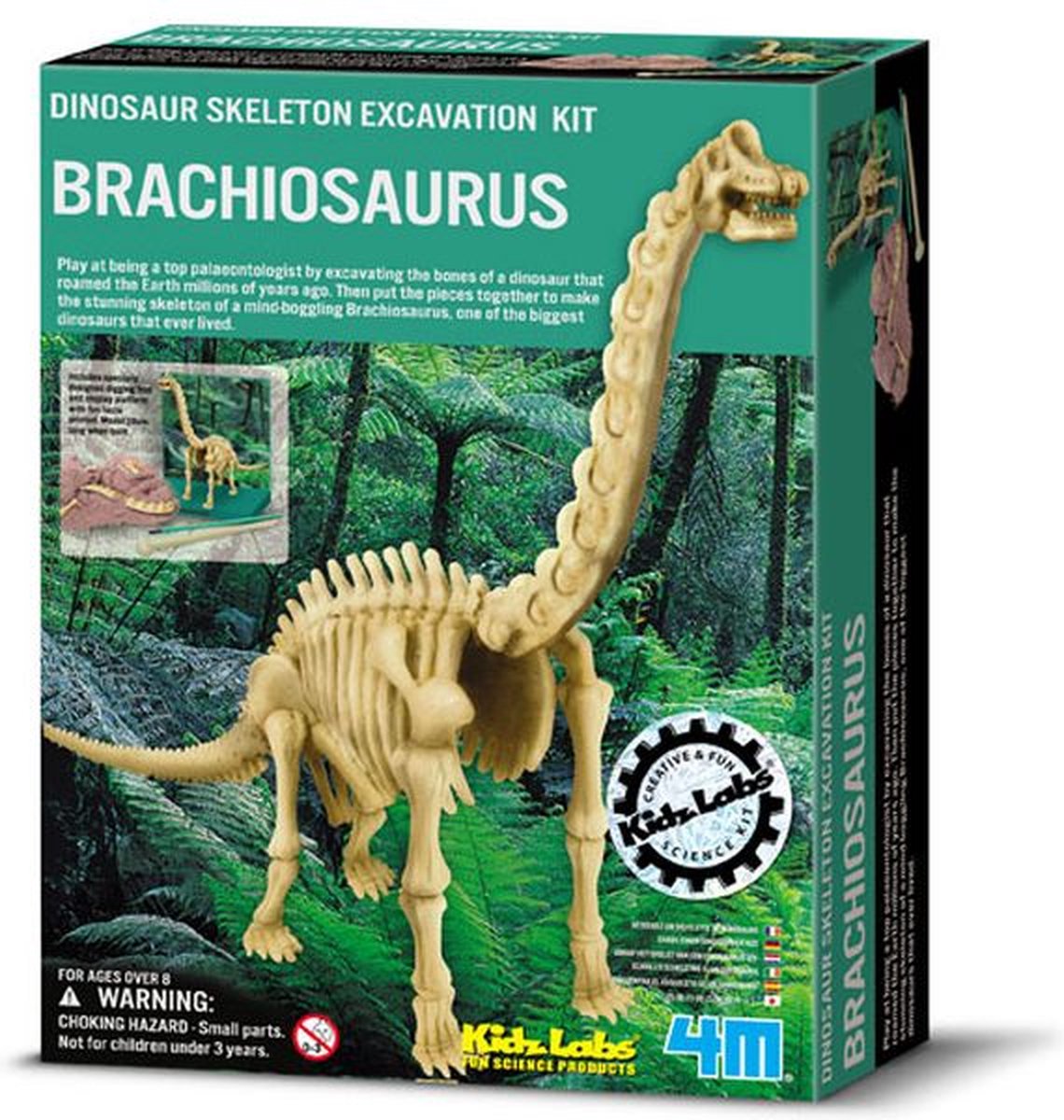 4M - KidzLabs - Uitgraven - Brachiosaurus