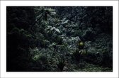 Walljar - Humid Forest - Muurdecoratie - Poster met lijst