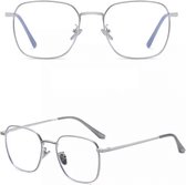 CLNEYEWEAR Bluelight brillen zilver