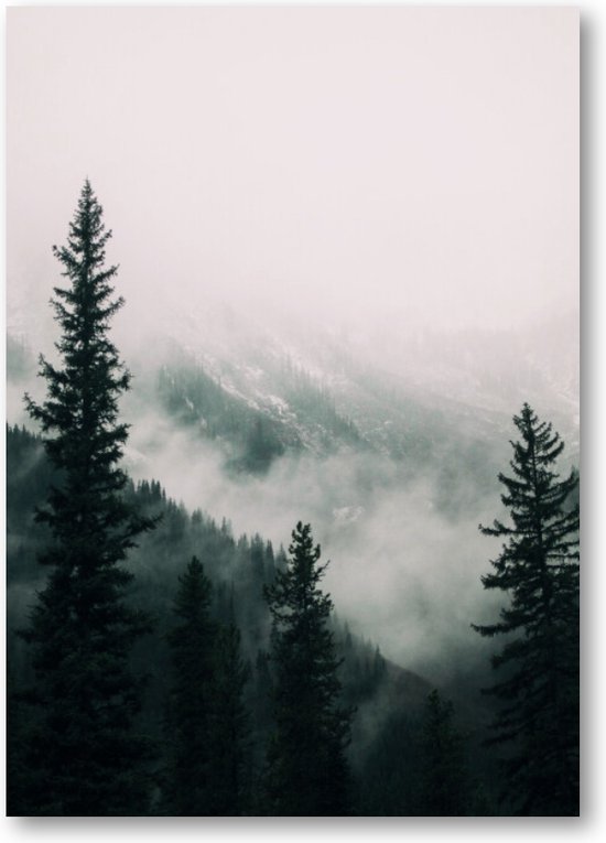 Hoge bomen in het bos in de bergen bedekt met de mist - A4 Poster Staand - 21x30cm - Besteposter - Landschap