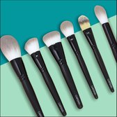 CAIRSKIN Professional Brush Set - 6 Pro Gloss Full Face Professional Brushes For Foundation, Powder, Blush, Highlighter and Contouring, Visagie Kwastenset - Makeup Kwasten