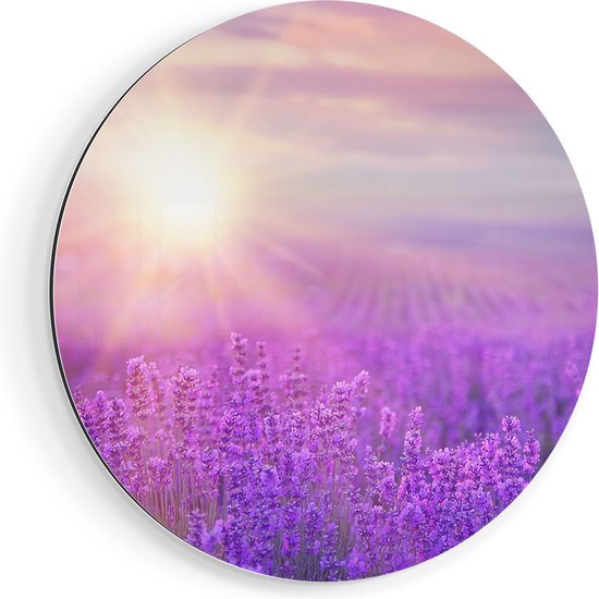 Cercle Mural Artaza Dibond - Champ de Fleurs Avec Lavande Violette - Ø 50 cm - Klein - Cercle Mural - Tableau Rond - Pour Intérieur et Extérieur