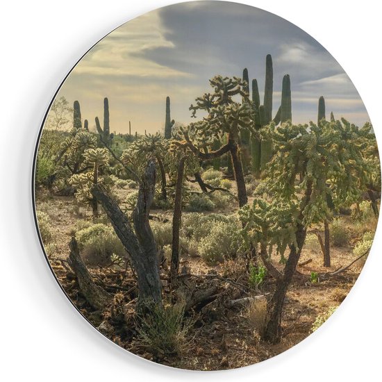 Artaza Muurcirkel - Cactus Planten in het Wild - Wandcirkel - Rond Schilderij