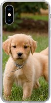 Geschikt voor iPhone X hoesje - Golden Retriever pup in het groene gras - Siliconen Telefoonhoesje
