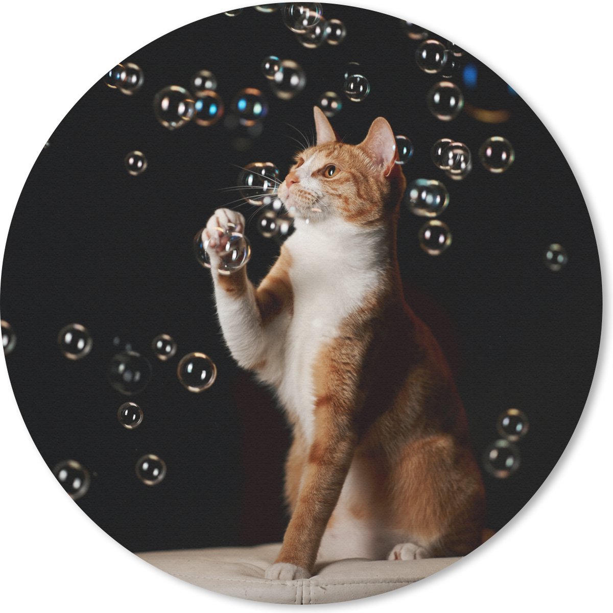 Muismat rond 20x20 cm - Mousepad Rode kat met bubbels - Ronde muismatten