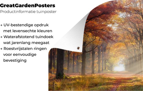 Affiche de jardin Automne - Forêt - Arbre - 120x80 cm - Jardin