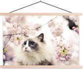 Affiche textielposter Un chat Ragdoll parmi les fleurs roses 120x80 cm