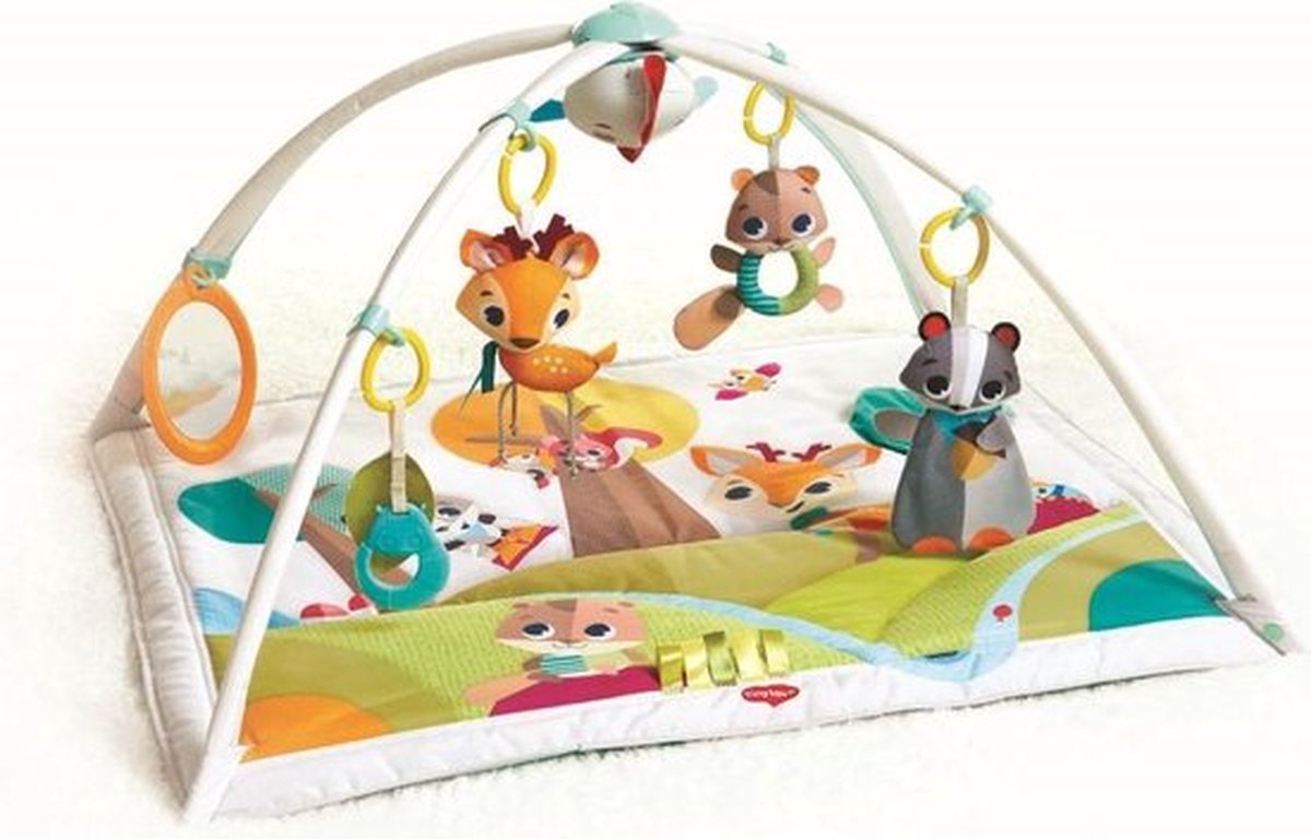 Tiny Love Deluxe Babygym