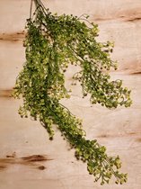 Kunstplant - Nep Plant - Sierplant - Kunstmatige Bloemen - Muurplant - Groen en Wit