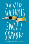 Sweet Sorrow The LongAwaited New Novel from the BestSelling Author of One Day