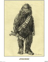 Star Wars: Chewbacca Concept Art Print
