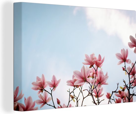 Canvas Schilderij Roze magnolia bloemen - 90x60 cm - Wanddecoratie