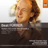 Helsinki Chamber Choir, Nils Schweckendiek, Uusinta Ensemble - Works For Choir And Ensemble (CD)