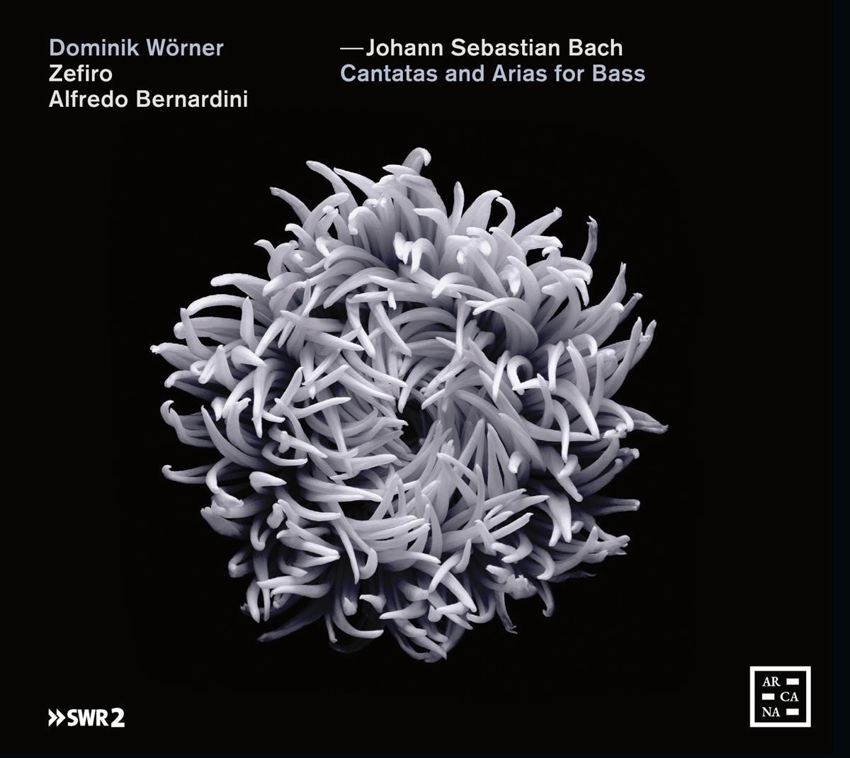 Dominik Wörner, Zefiro, Alfredo Bernardini - J.S. Bach: Cantatas And Arias For Bass (CD)