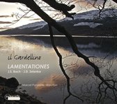 Il Giardellino, Marcel Ponseele - Bach/Zelenka: Lamentations (CD)