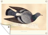 Muurdecoratie buiten Illustratie van en vliegende duif - 160x120 cm - Tuindoek - Buitenposter