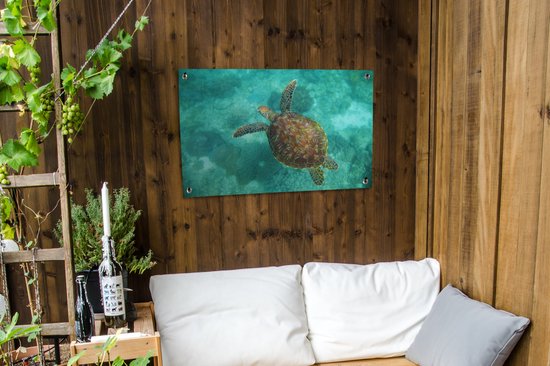 Affiche de jardin Tortue de mer au Reef d'Apo - 100x60 cm - Décoration murale Outdoor - Affiche de jardin - Toile de jardin - Affiche de clôture - Tableau de jardin