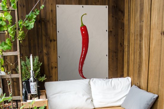 Affiche de jardin - Toile de jardin - Posters de jardin extérieur - Piment espagnol - 80x120 cm - Jardin