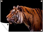 Tuinschilderij Zijaanzicht van een tijger op een zwarte achtergrond - 80x60 cm - Tuinposter - Tuindoek - Buitenposter