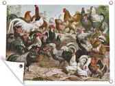 Tuinschilderij Illustratie van hanen en kippen in een ren - 80x60 cm - Tuinposter - Tuindoek - Buitenposter