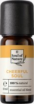 LR Soul of Nature Cheerful Soul Geurmengeling - aromatherapie