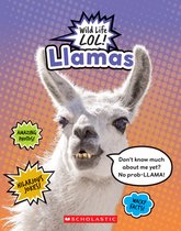 Wild Life Lol!- Llamas (Wild Life Lol!)