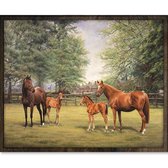 Eagle® Diamond Painting Volwassenen - Paarden met Veulens - 50x40cm - Ronde Steentjes