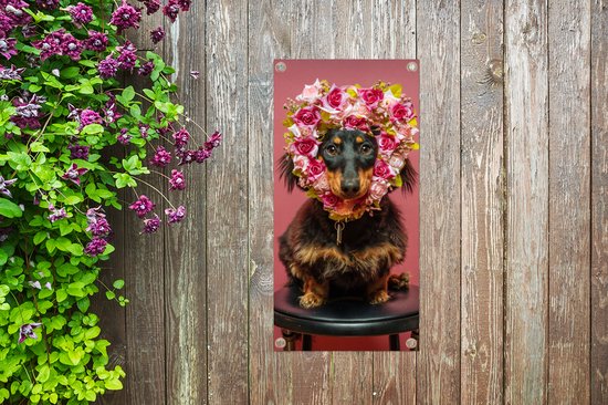 Poster de jardin Animal - Fleurs - Chien - 40x80 cm