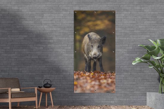 Affiche de clôture Animal sauvage - Forêt - Automne - 100x200 cm - Toile de jardin