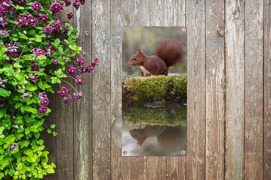 Affiche de jardin Animaux de la forêt - Water - Mousse - 40x80 cm