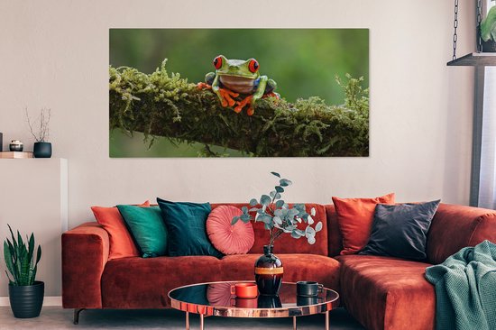 Peinture sur toile Grenouille aux yeux rouges sur une branche couverte - 160x80 cm - Décoration murale