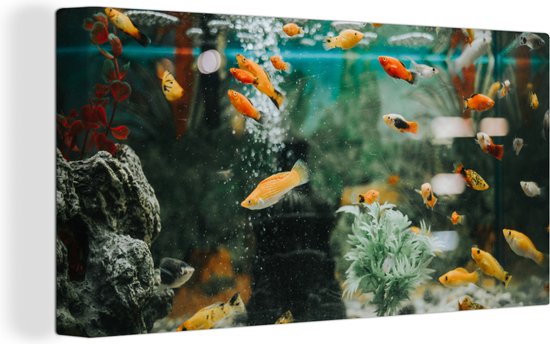 Foto: Canvas schilderij 160x80 cm wanddecoratie kleine visjes in een aquarium muurdecoratie woonkamer slaapkamer decoratie kamer accessoires schilderijen