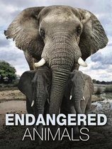 Animals- Endangered Animals