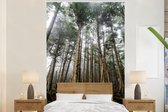 Behang - Fotobehang De bossen van het Canadese archipel Haida Gwaii in Brits-Columbia - Breedte 145 cm x hoogte 220 cm
