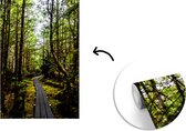 Behang - Fotobehang Pad tussen de bossen van de Canadese archipel Koningin Charlotte-eilanden - Breedte 190 cm x hoogte 280 cm