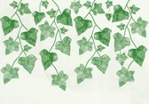 Vliesbehang Planten Hedera XXL – fotobehang – 368 x 254 cm – Groen